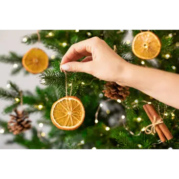 Organic Dried Orange